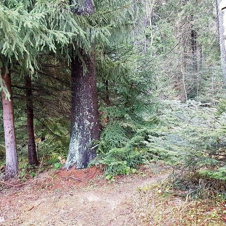 Chalet Taffski بوروفتس المظهر الخارجي الصورة