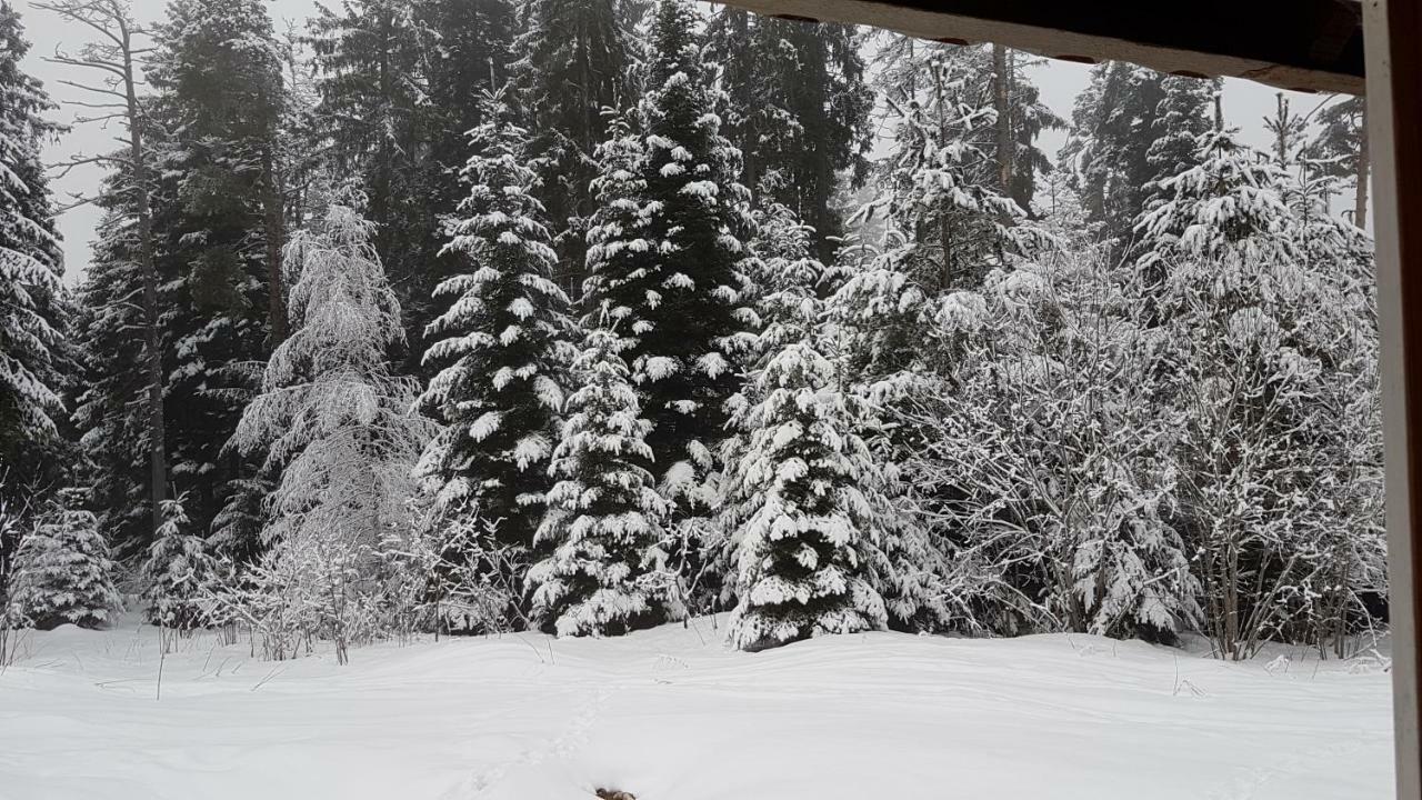 Chalet Taffski بوروفتس المظهر الخارجي الصورة
